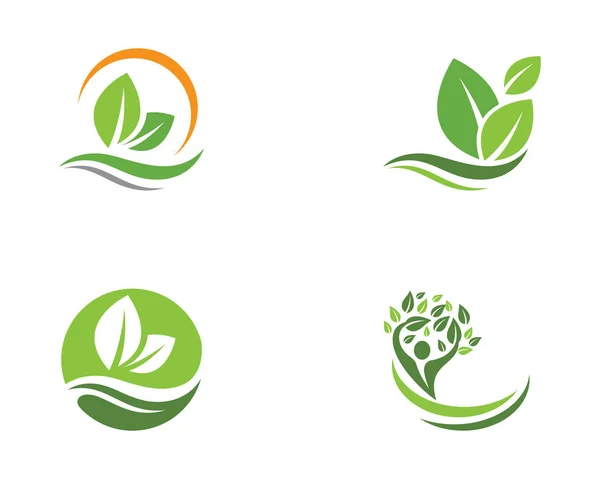 Boom blad ecologie natuur pictogram vector — Stockvector