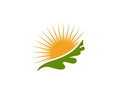 Akçaağaç Meşe yaprağı Logo şablonu