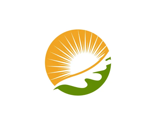 Πρότυπο λογότυπο δρύινα φύλλα σφενδάμου — Διανυσματικό Αρχείο
