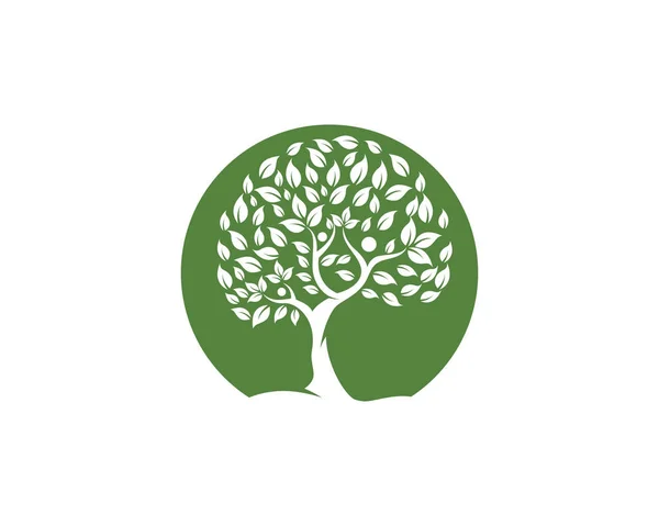 Szablon logo drzewa genealogicznego — Wektor stockowy