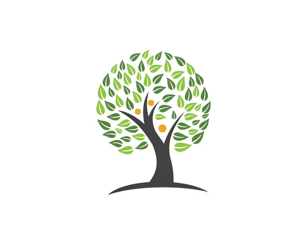 Drzewo genealogiczne symbol ikonę logo design — Wektor stockowy