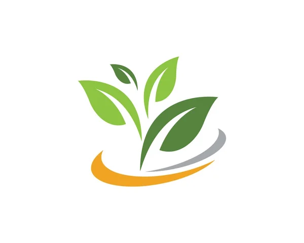 Árbol hoja ecología naturaleza elemento vector icono — Vector de stock