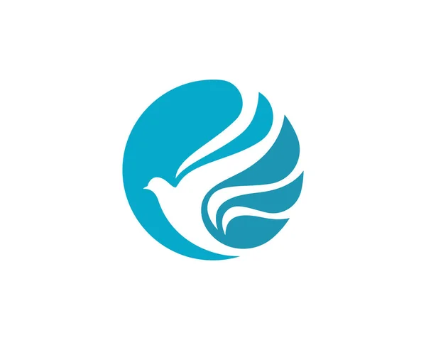 Modèle de logo de colombe d'aile d'oiseau — Image vectorielle
