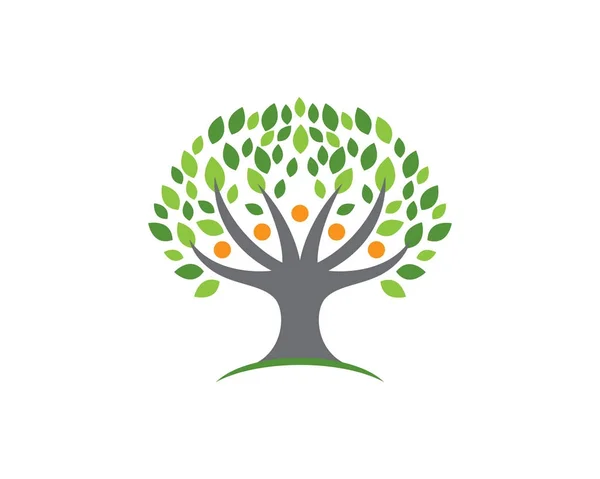 Șablon logo ecologic — Vector de stoc