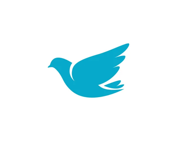 Modèle de logo de colombe oiseau — Image vectorielle