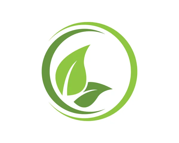 Eko logo şablonu — Stok Vektör