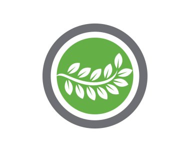 Eko Ağacı Yaprak Şablonu