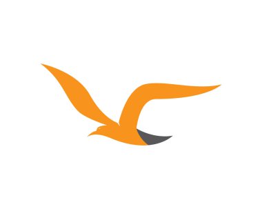 Martı logo şablonu