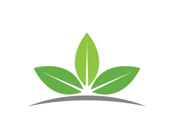 Шаблон логотипа eco — стоковый вектор