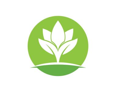 Güzellik Lotus Logo şablonu