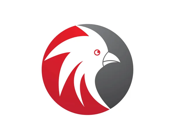 Plantilla de logotipo de gallo — Vector de stock
