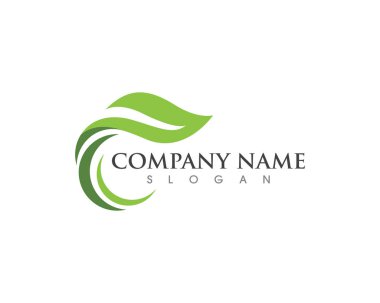 Yeşil ağaç yaprak ekoloji doğa eleman