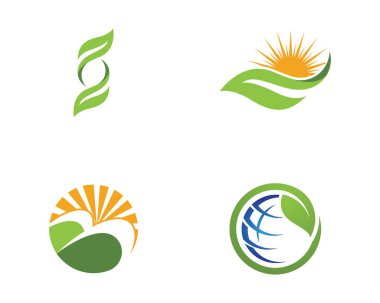 Yeşil ağaç yaprak ekoloji doğa eleman