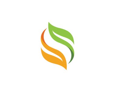 Yeşil ağaç yaprak ekoloji doğa eleman