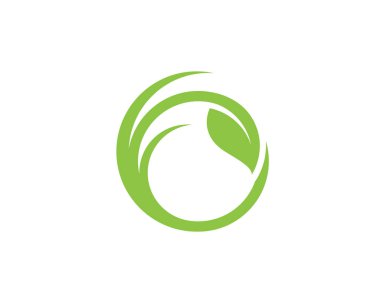 Yeşil ağaç yaprak ekoloji doğa eleman