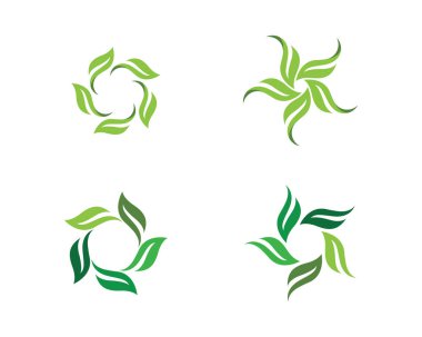 Yeşil ağaç yaprak ekoloji doğa eleman