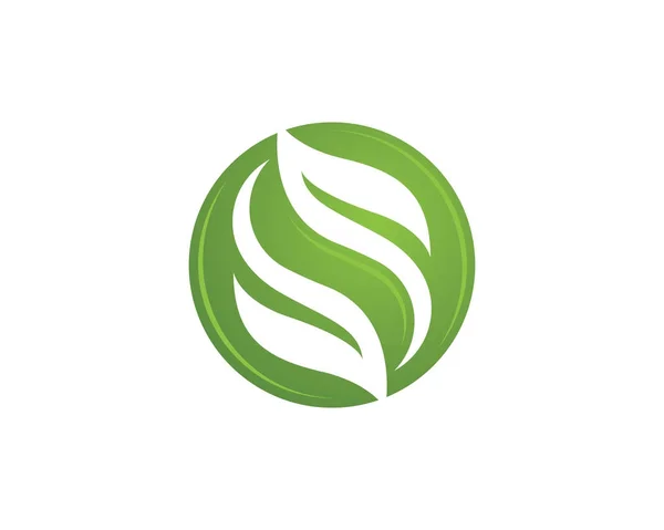 Vert Feuille d'arbre écologie élément nature — Image vectorielle
