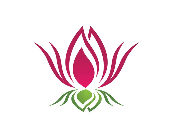 Güzellik Vektörü çiçek tasarımı logo şablonu simgesi — Stok Vektör