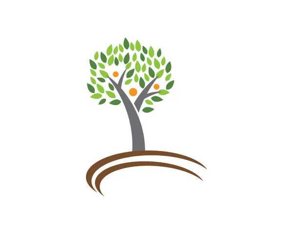 Шаблон логотипа eco — стоковый вектор