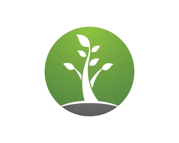 Loga ekologie zelených listů ikona přírodního prvku vektor — Stockový vektor