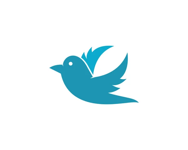 Kolibřík Logo šablona — Stockový vektor