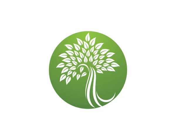 Eko logo şablonu — Stok Vektör
