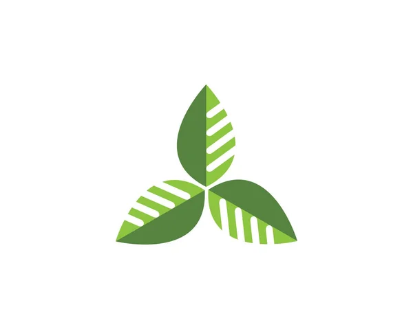 Logos zieleni Ekologia liści drzew element przyrody — Wektor stockowy