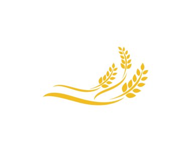 Tarım buğday logosu vektör ikonu tasarımı 