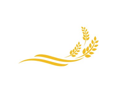 Tarım buğday logosu vektör ikonu tasarımı 