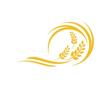 Tarım buğday logosu vektör ikonu tasarımı 