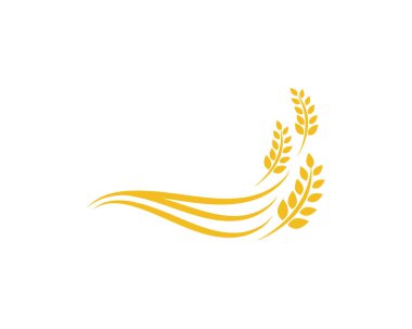 Tarım buğday logosu vektör ikonu tasarımı 
