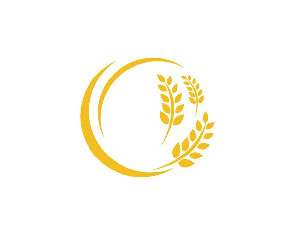 Tarım buğday logosu vektör ikonu tasarımı — Stok Vektör