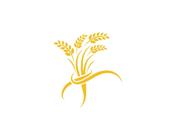 Agricultura trigo logotipo plantilla vector icono diseño — Archivo Imágenes Vectoriales