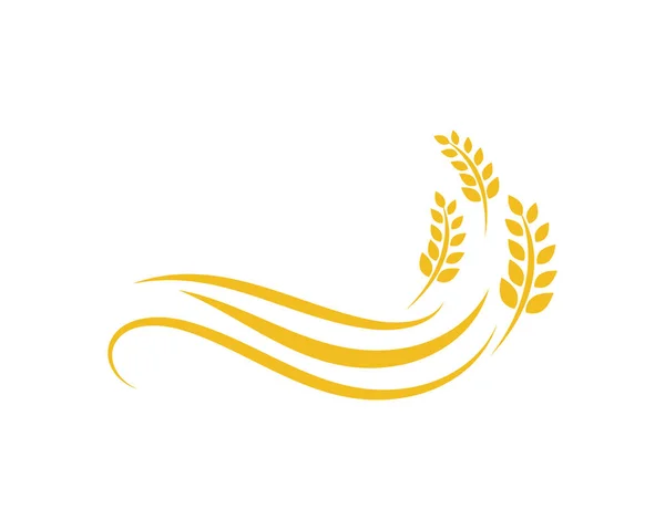 Agriculture wheat Logo Template vector icon design — Stock Vector