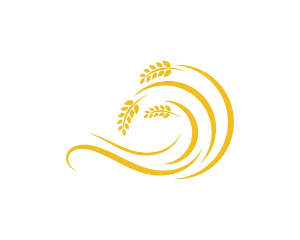 Agricoltura grano logo modello vettoriale icona design — Vettoriale Stock