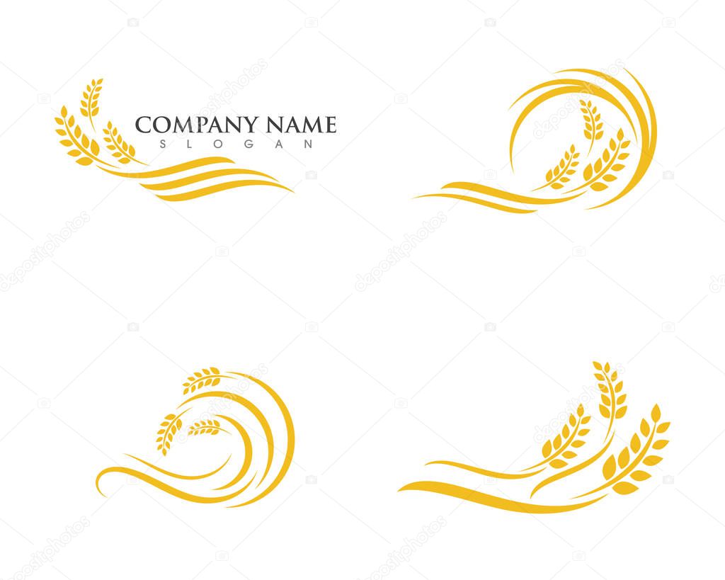 Agriculture wheat Logo Template vector icon design 