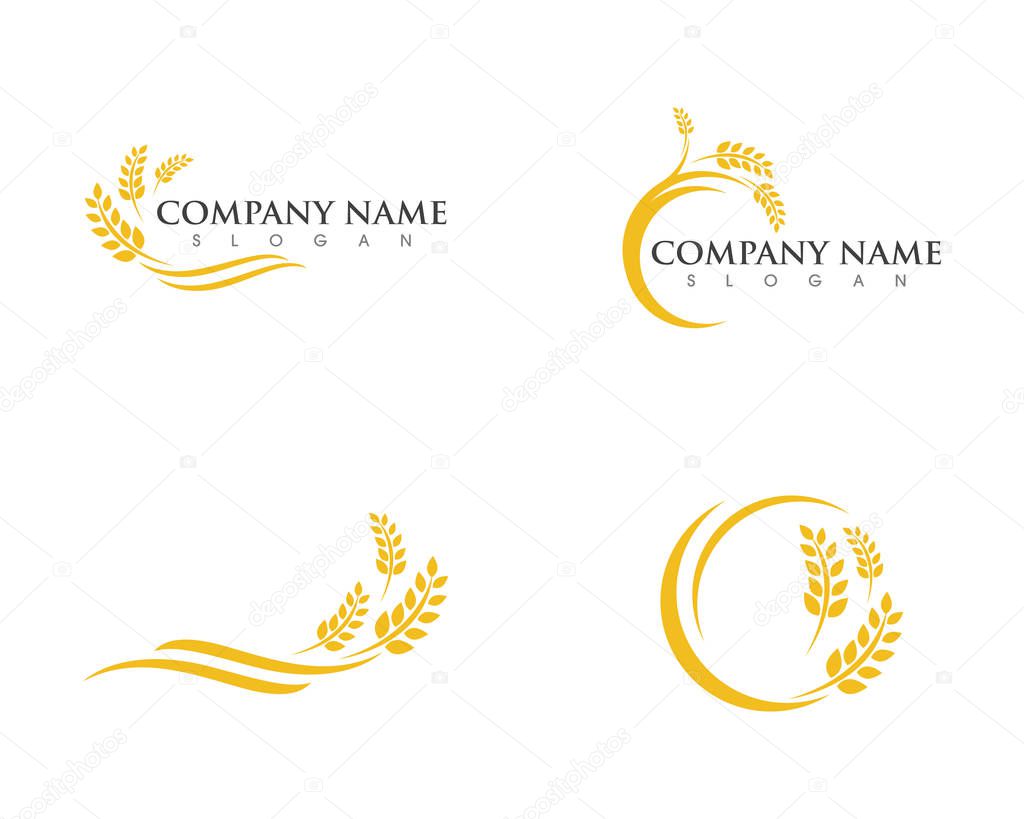 Agriculture wheat Logo Template vector icon design 