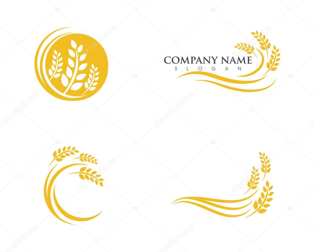 Agriculture wheat Logo Template vector icon design