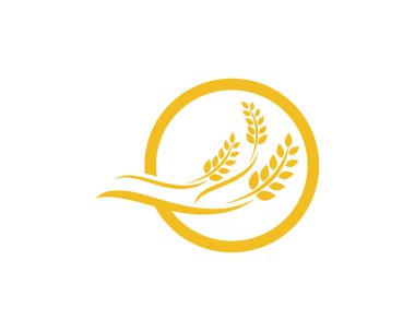 Tarım buğday logosu vektör ikonu tasarımı 