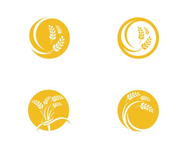 Tarım buğday logosu vektör ikonu tasarımı 