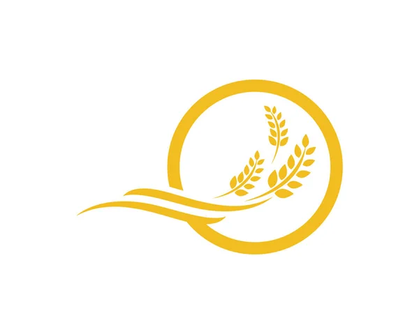Landwirtschaft Weizen Logo Vorlage Vektor Icon Design — Stockvektor
