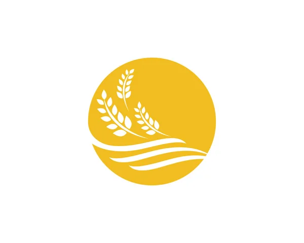 Agricultura trigo logotipo plantilla vector icono diseño — Vector de stock