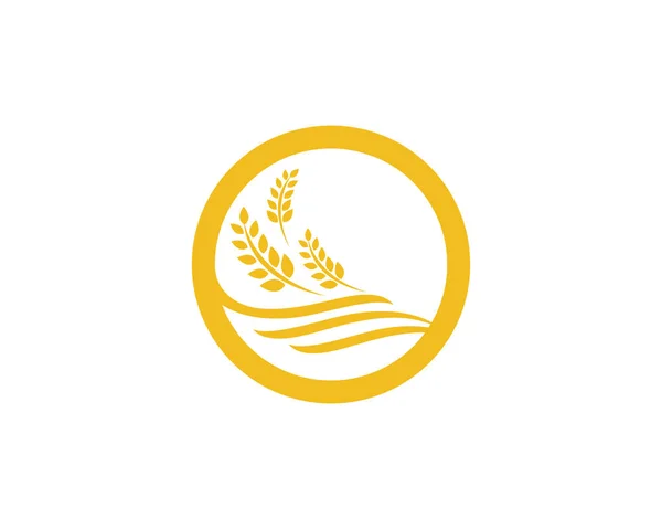 Modèle de logo de blé agriculture icône vectorielle design — Image vectorielle