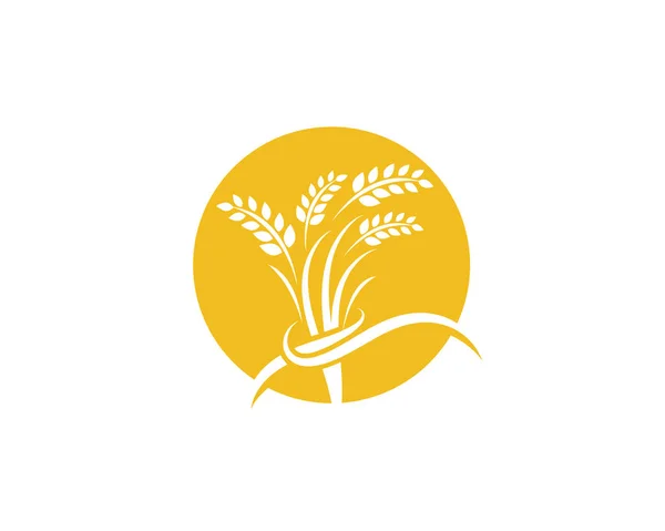 Agricultura trigo logotipo plantilla vector icono diseño — Archivo Imágenes Vectoriales