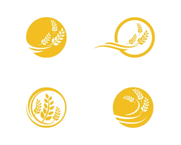 Agricultura logotipo do trigo modelo vetor ícone design — Vetor de Stock