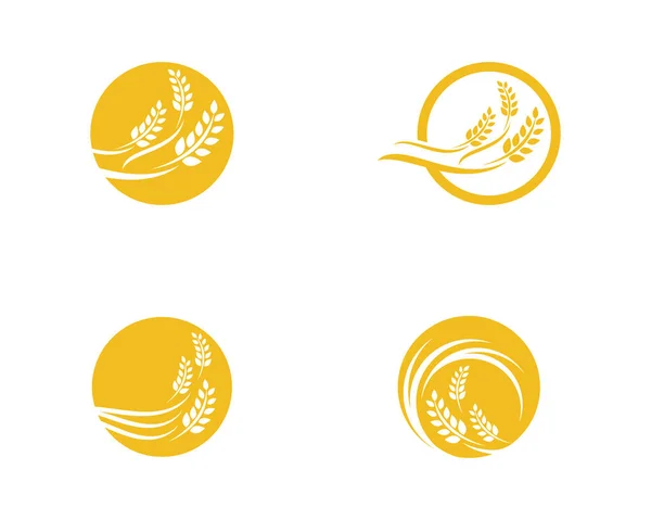 Дизайн векторного логотипа сельскохозяйственной пшеницы — стоковый вектор