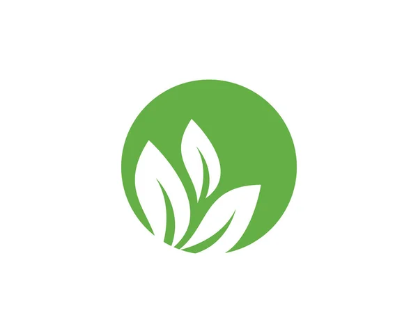 Modelo de logotipo ecológico — Vetor de Stock