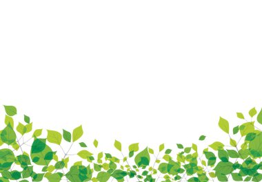 Yaprak arka plan vektör tasarımı