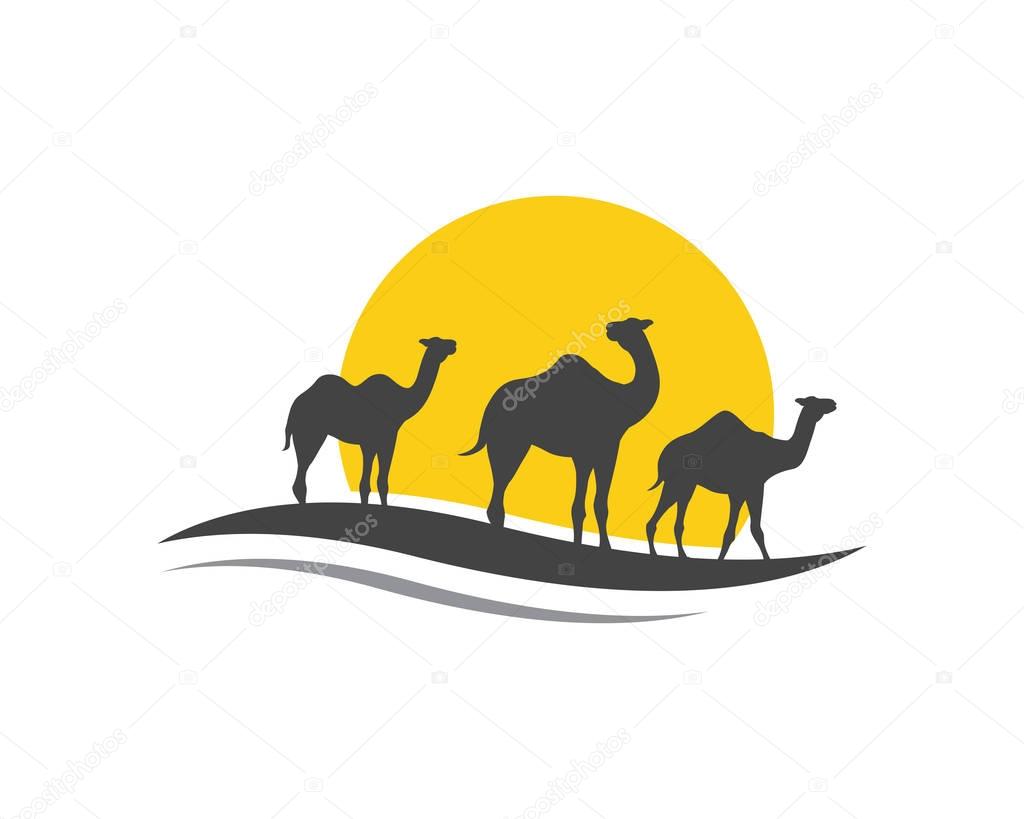 Camel Icon Logo Template design