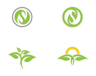 Yaprak doğa Logo şablonu